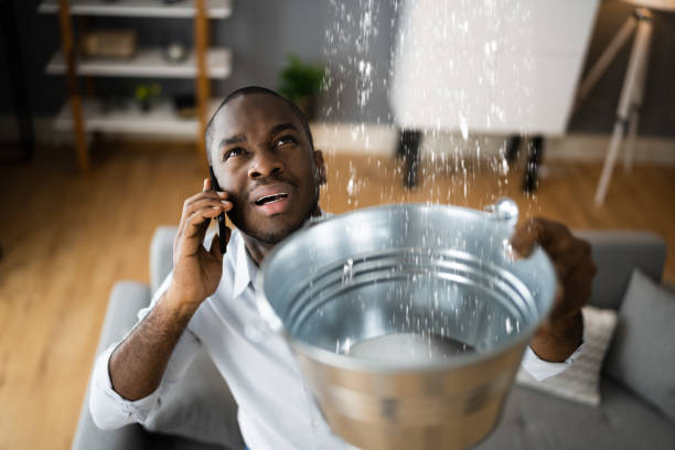 Best Mold removal after water damage  in Manor, TX