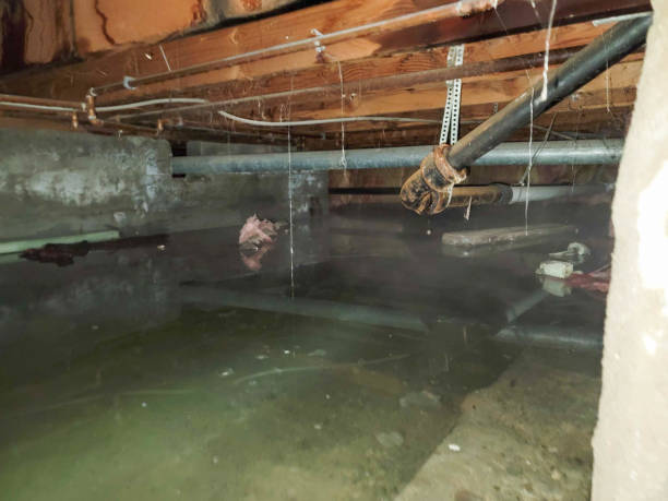 Best Ceiling water damage repair  in Manor, TX